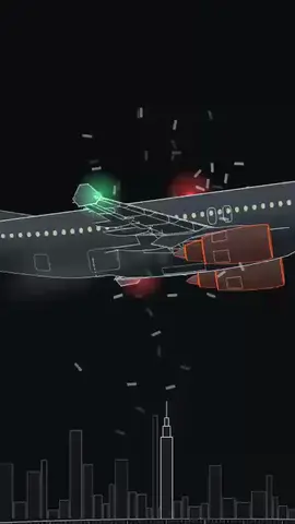 Geese hit a jet above New York, as a diagram