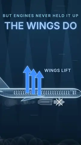 The wings that hold a plane up, as a diagram